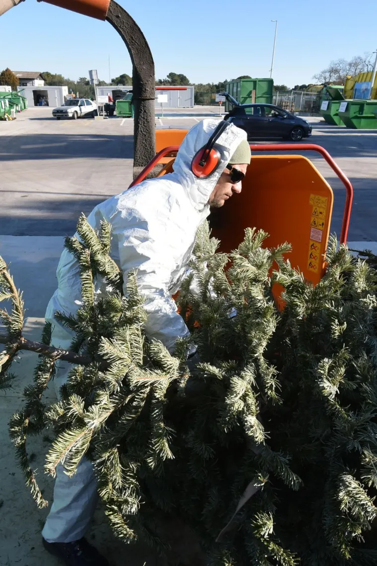Građanima Pule omogućena besplatna reciklaža božićnih drvaca