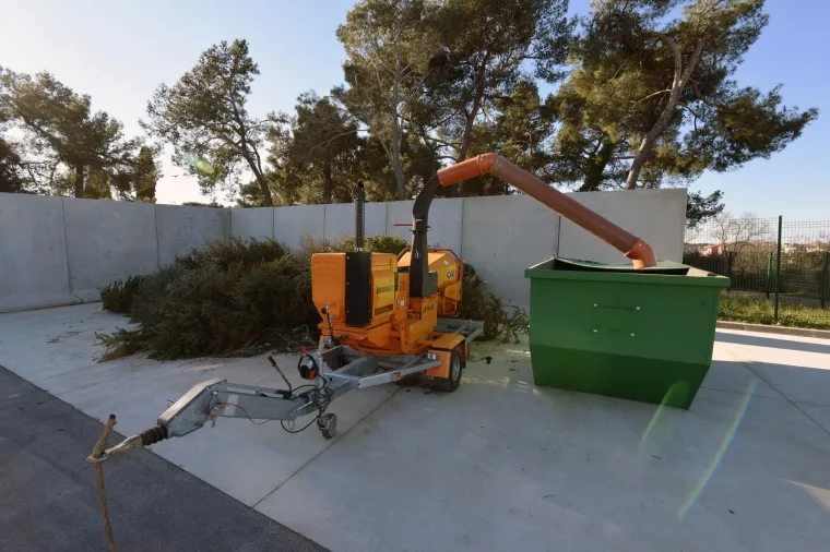 Građanima Pule omogućena besplatna reciklaža božićnih drvaca