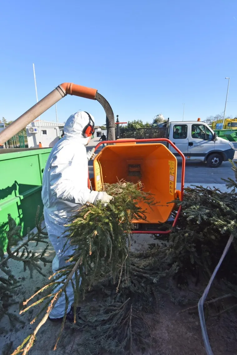 Građanima Pule omogućena besplatna reciklaža božićnih drvaca