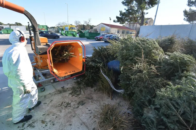 Građanima Pule omogućena besplatna reciklaža božićnih drvaca