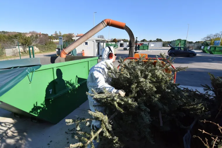 Građanima Pule omogućena besplatna reciklaža božićnih drvaca