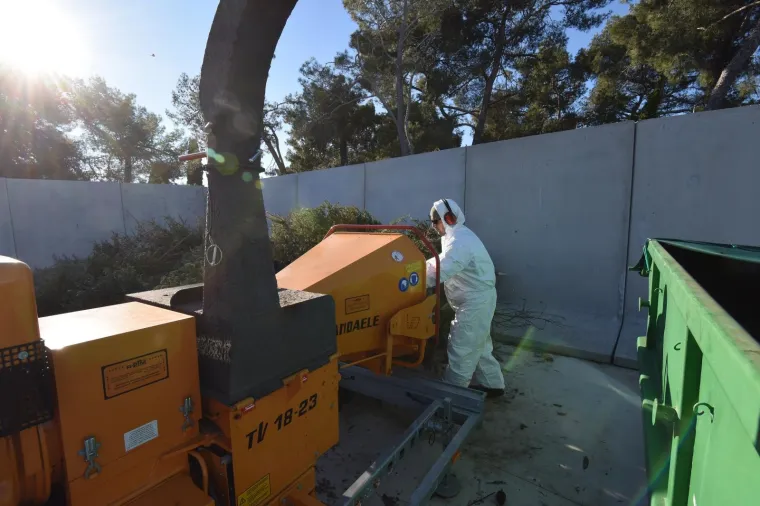 Građanima Pule omogućena besplatna reciklaža božićnih drvaca