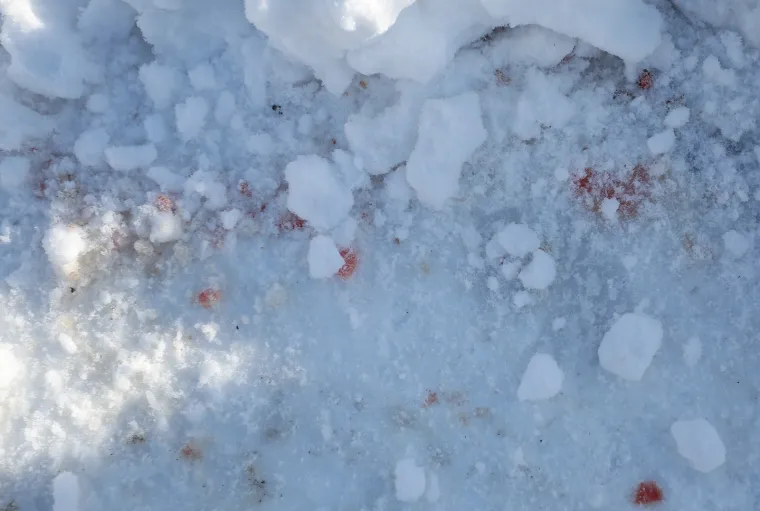 Tragedija u Lici: Dvogodi&scaron;njakinja se istrgnula iz ruku roditelja i podletjela pod kombi