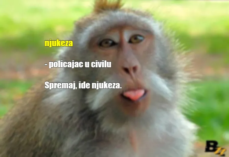 'Gle ovu, sad odjednom liže oltare': Ovako se Hrvati sprdaju jedni s drugima na dnevnoj bazi