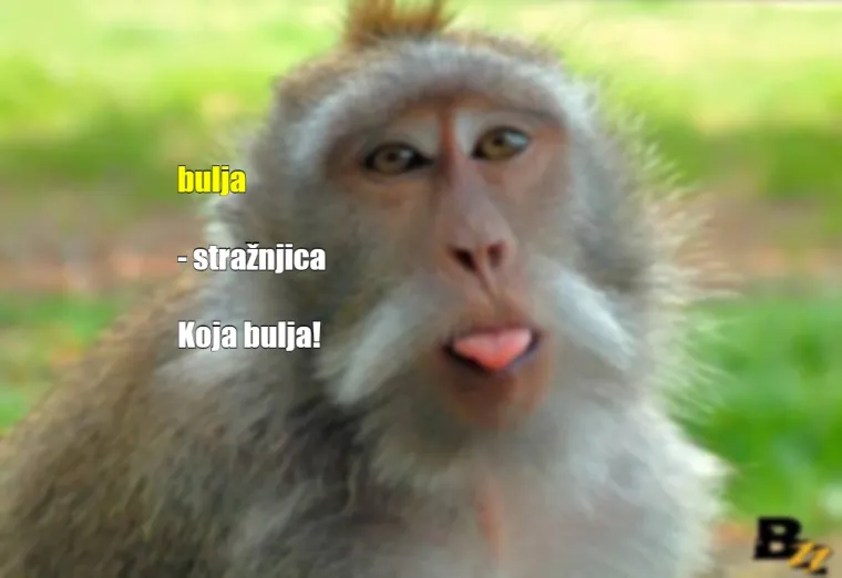 'Gle ovu, sad odjednom liže oltare': Ovako se Hrvati sprdaju jedni s drugima na dnevnoj bazi