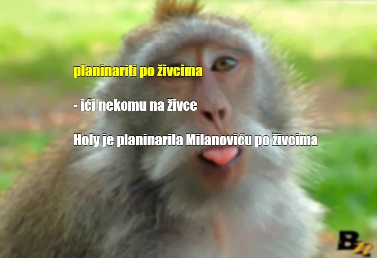 'Gle ovu, sad odjednom liže oltare': Ovako se Hrvati sprdaju jedni s drugima na dnevnoj bazi