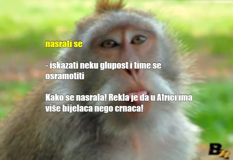 'Gle ovu, sad odjednom liže oltare': Ovako se Hrvati sprdaju jedni s drugima na dnevnoj bazi