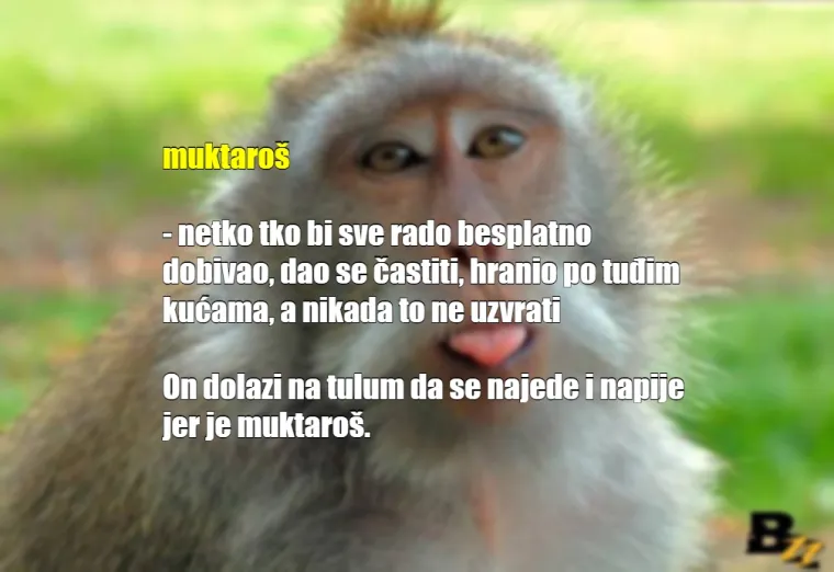 'Gle ovu, sad odjednom liže oltare': Ovako se Hrvati sprdaju jedni s drugima na dnevnoj bazi