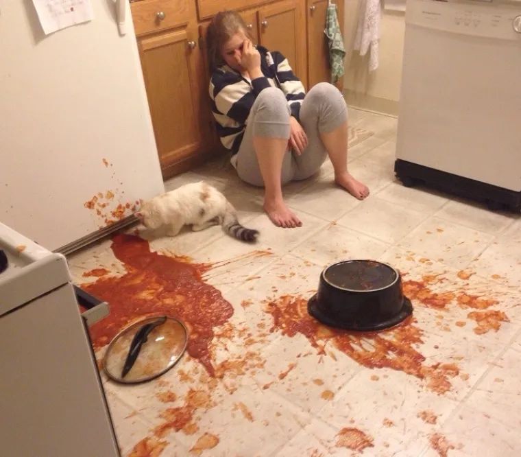 PLEASE, NEKA IH NETKO MAKNE IZ KUHINJE: Nije &scaron;to će uni&scaron;titi jelo i posuđe, nego će zapaliti kuću... i sebe... i vas...