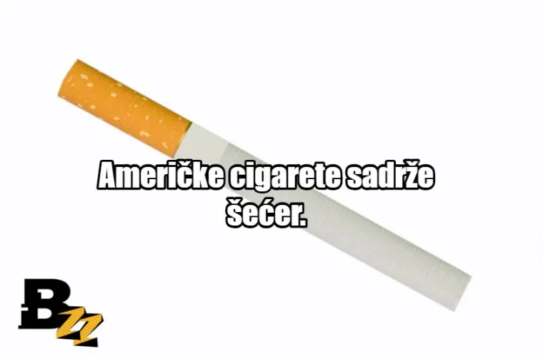 Zgnječeni insekti i krv: TOP 15 najčudnijih sastojaka koji se mogu naći u normalnim proizvodima