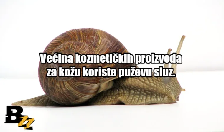 Zgnječeni insekti i krv: TOP 15 najčudnijih sastojaka koji se mogu naći u normalnim proizvodima