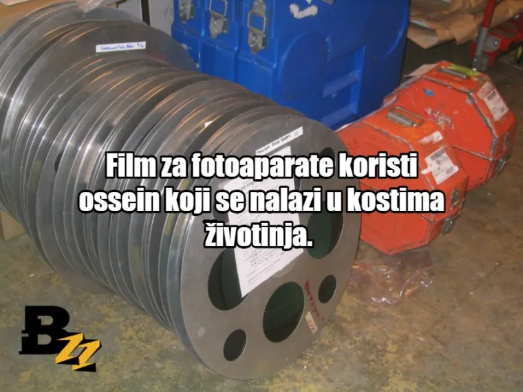 Zgnječeni insekti i krv: TOP 15 najčudnijih sastojaka koji se mogu naći u normalnim proizvodima