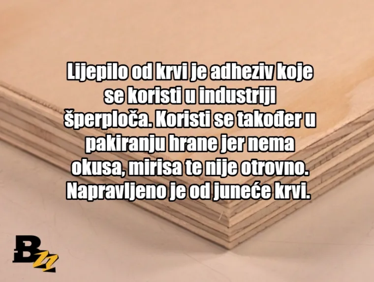 Zgnječeni insekti i krv: TOP 15 najčudnijih sastojaka koji se mogu naći u normalnim proizvodima