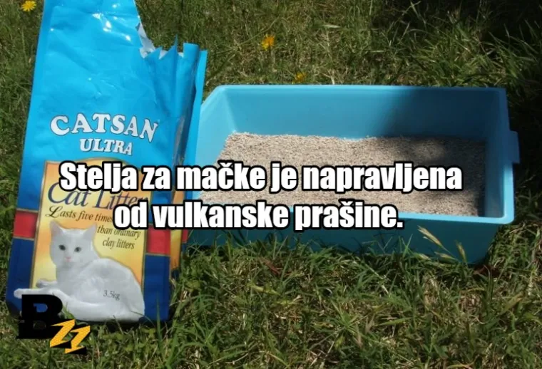 Zgnječeni insekti i krv: TOP 15 najčudnijih sastojaka koji se mogu naći u normalnim proizvodima