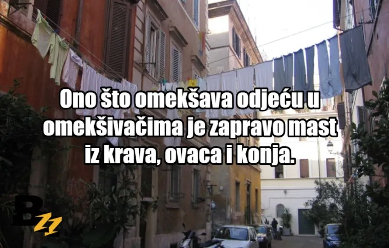 Zgnječeni insekti i krv: TOP 15 najčudnijih sastojaka koji se mogu naći u normalnim proizvodima