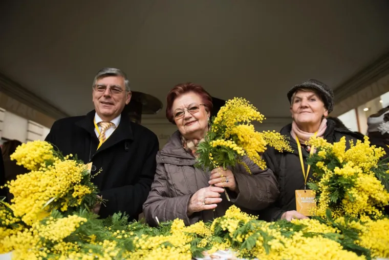 Obilježavanje 12. Dana mimoza i Nacionalnog dana borbe protiv raka vrata maternice