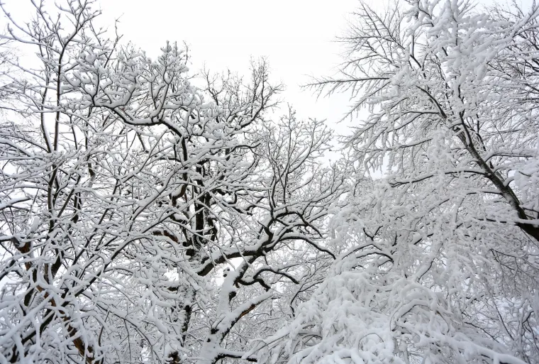 Ako za vikend niste uspjeli izbjeći tmurni grad: Uz ovu snježnu idilu pobjeći ćete od realnosti