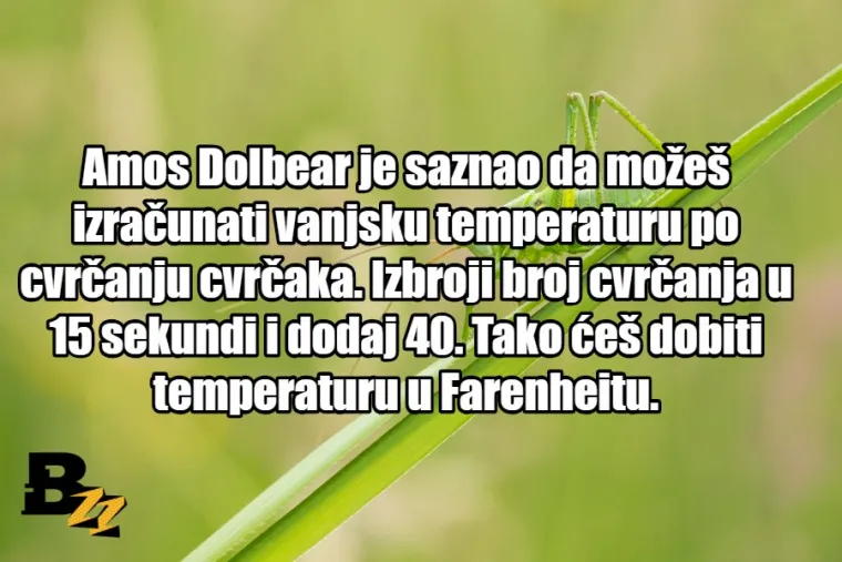 TOP 10 najluđih znanstvenih istraživanja koja potvrđuju da su znanstvenici čudaci