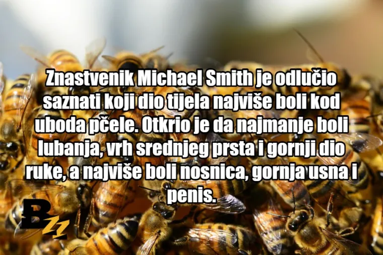 TOP 10 najluđih znanstvenih istraživanja koja potvrđuju da su znanstvenici čudaci