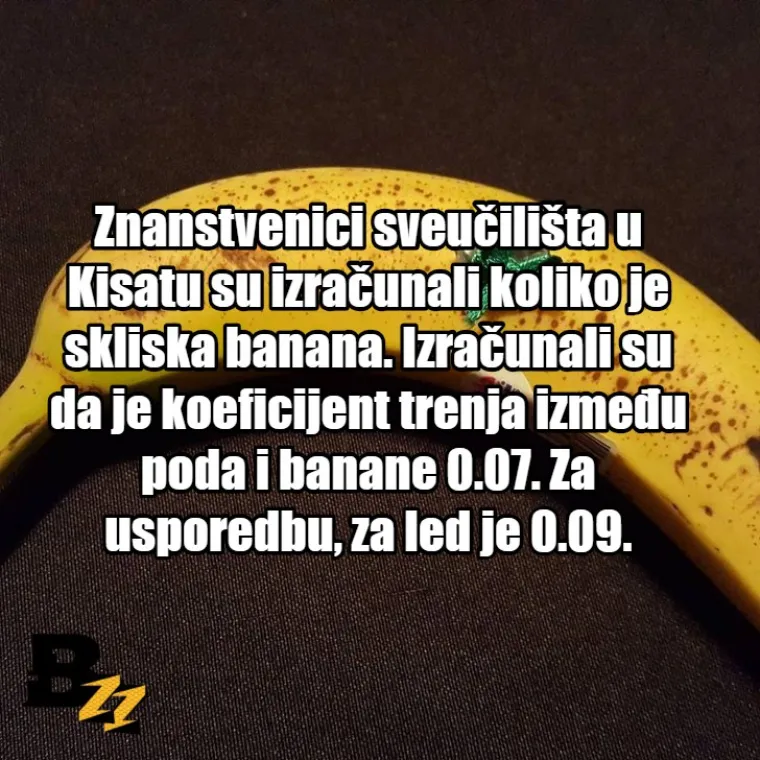 TOP 10 najluđih znanstvenih istraživanja koja potvrđuju da su znanstvenici čudaci