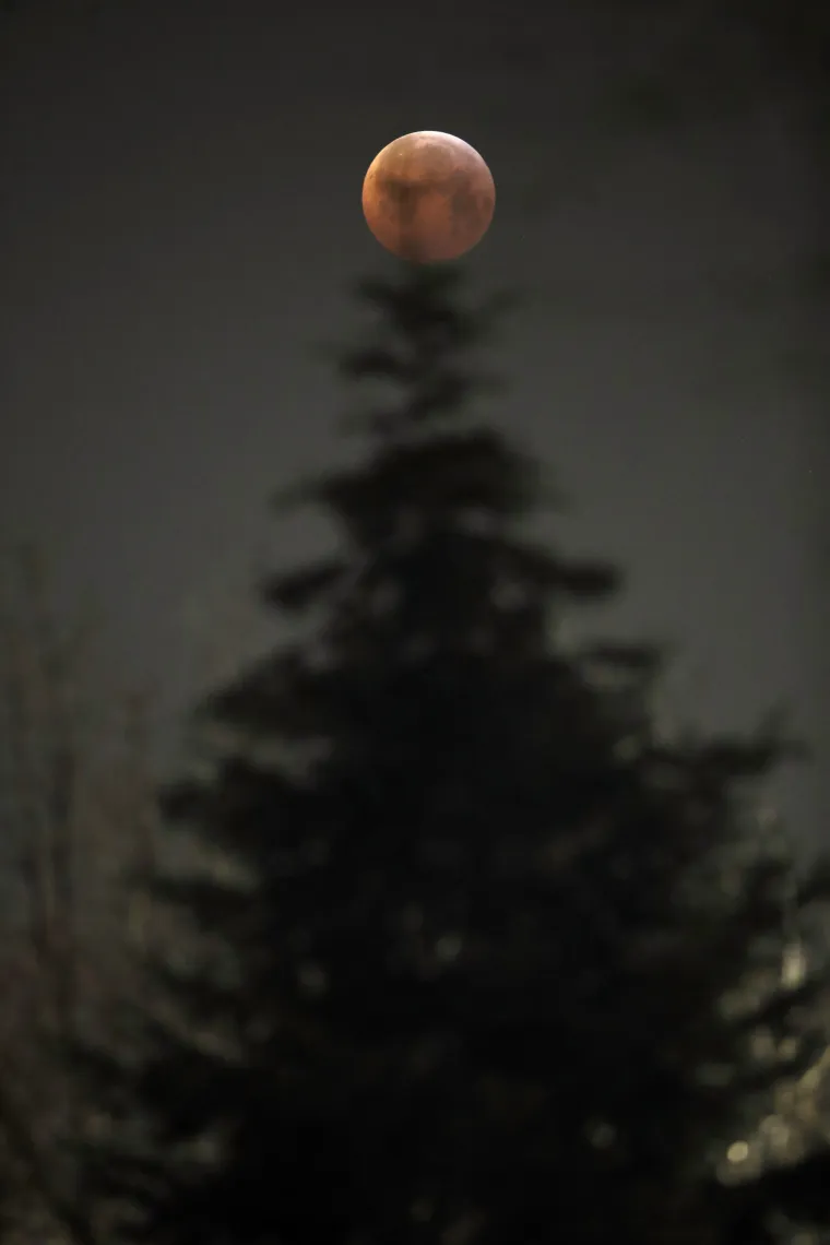 'Krvavi vučji Mjesec' nadahnuo je fotografe na prava umjetnička djela