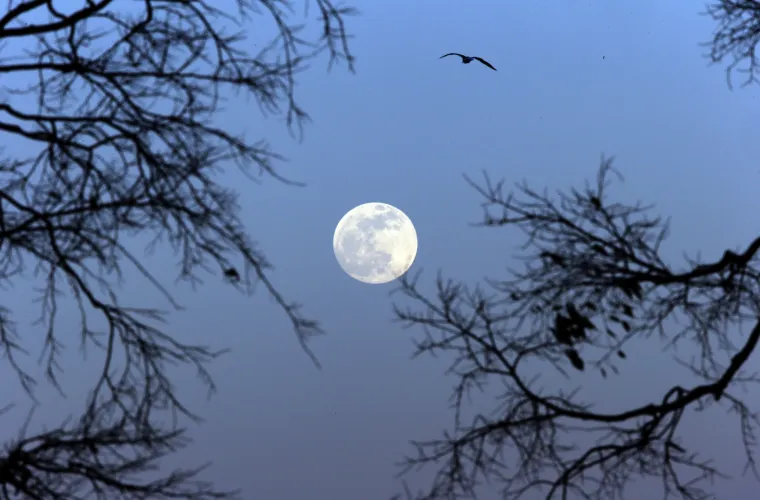 'Krvavi vučji Mjesec' nadahnuo je fotografe na prava umjetnička djela