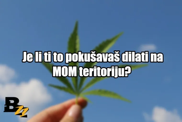 'Tvoja mama mi je rekla da ne smijem': TOP 20 najboljih načina za reći NE drogama