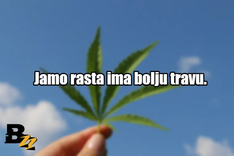 'Tvoja mama mi je rekla da ne smijem': TOP 20 najboljih načina za reći NE drogama