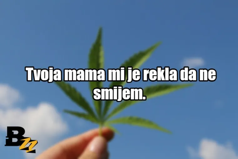 'Tvoja mama mi je rekla da ne smijem': TOP 20 najboljih načina za reći NE drogama