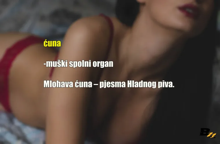 Na&scaron;la su se dva dečka iz kvarta, nemojte im zamjeriti, mladi su. Tek su počeli gledati cure, s nekima su i u&scaron;li u komunikaciju, jo&scaron; ih nisu ni poljubili. Kako god bilo, jedan pred drugim ne mogu priznati da nisu do&scaron;li ni do 'prve baze' pa odu u drugu krajnost. Počnu se nabacivati 'izrazima' kao da su se na kavi na&scaron;li Don Juan i Casanova, riječi 'prdara', 'fafanje', 'Desanka &Scaron;akić' i 'kresnuti se' su im u svakoj drugoj rečenici. Simulirali smo eksplicitni razgovor između njih dvojice kroz 25 sličica, samo da se malo podsjetite kako ste se i vi voljeli praviti važni dok ste bili mlađi.