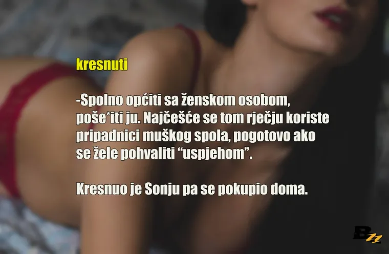 Na&scaron;la su se dva dečka iz kvarta, nemojte im zamjeriti, mladi su. Tek su počeli gledati cure, s nekima su i u&scaron;li u komunikaciju, jo&scaron; ih nisu ni poljubili. Kako god bilo, jedan pred drugim ne mogu priznati da nisu do&scaron;li ni do 'prve baze' pa odu u drugu krajnost. Počnu se nabacivati 'izrazima' kao da su se na kavi na&scaron;li Don Juan i Casanova, riječi 'prdara', 'fafanje', 'Desanka &Scaron;akić' i 'kresnuti se' su im u svakoj drugoj rečenici. Simulirali smo eksplicitni razgovor između njih dvojice kroz 25 sličica, samo da se malo podsjetite kako ste se i vi voljeli praviti važni dok ste bili mlađi.