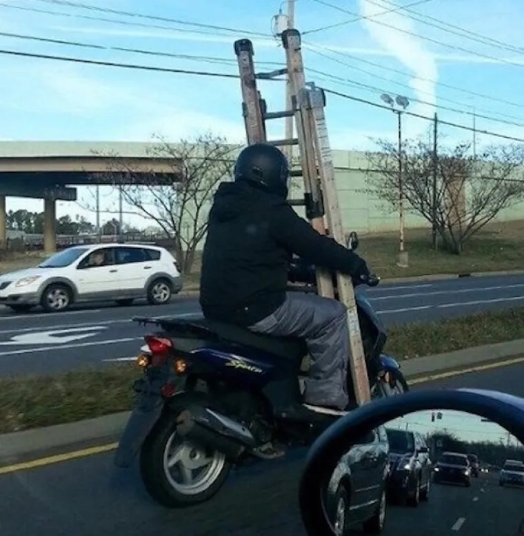 TE&Scaron;KO JE NAĆI RIJEČI KOJE BI OPISALE OVO: Uz ovakve primjerke, te&scaron;ko je vjerovati da smo mi na vrhu prehrambenog lanca