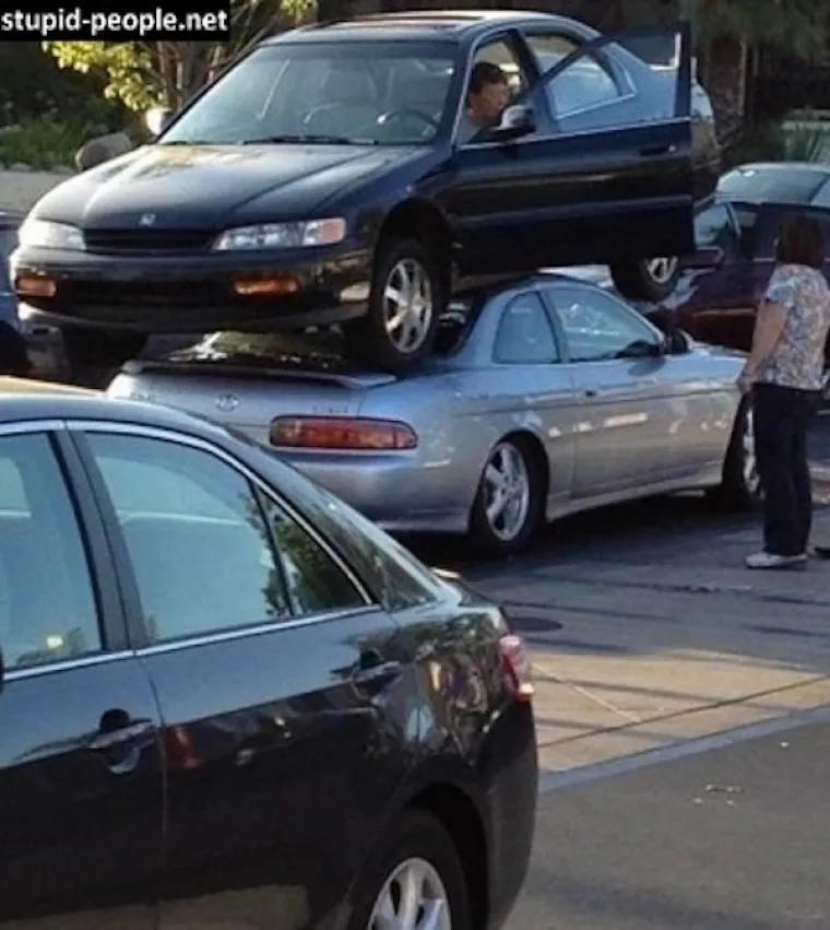 TE&Scaron;KO JE NAĆI RIJEČI KOJE BI OPISALE OVO: Uz ovakve primjerke, te&scaron;ko je vjerovati da smo mi na vrhu prehrambenog lanca