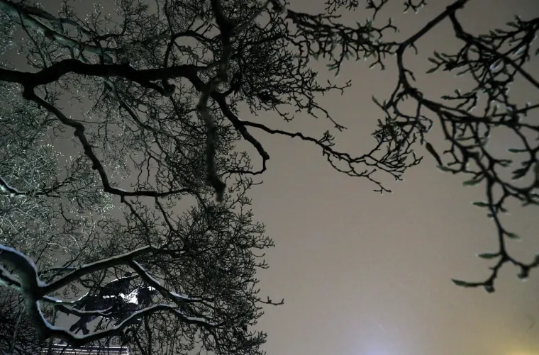 Zagrebačkim ulicama dok ste spavali: Pogledajte tihe prizore metropole u noćnim satima