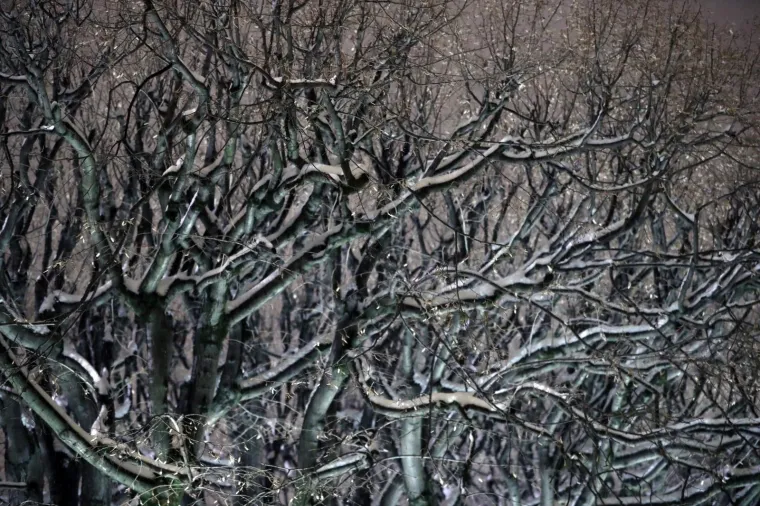 Zagrebačkim ulicama dok ste spavali: Pogledajte tihe prizore metropole u noćnim satima