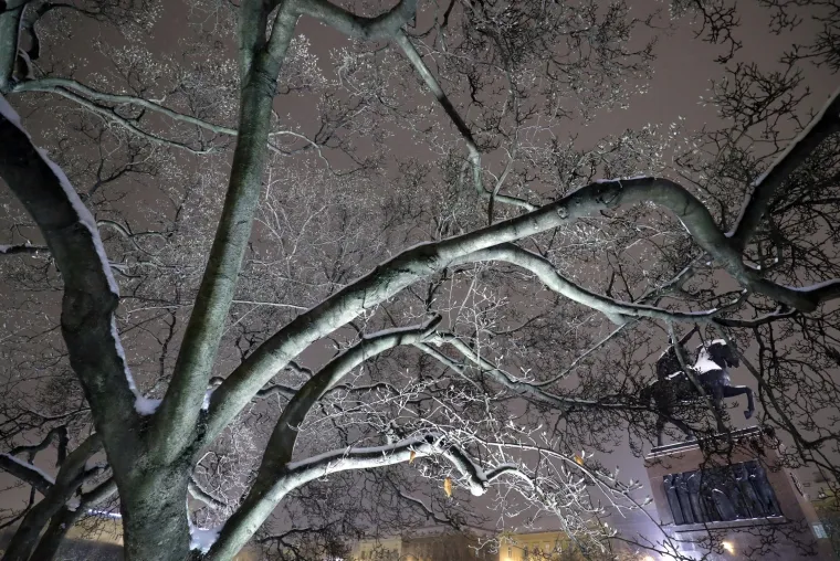 Zagrebačkim ulicama dok ste spavali: Pogledajte tihe prizore metropole u noćnim satima