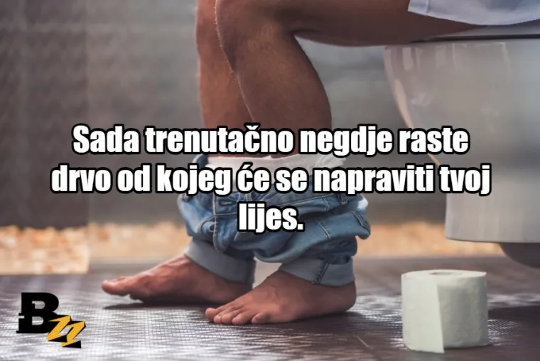 20 činjenica koje ti mogu pasti na pamet samo kad ode&scaron; na WC bez mobitela