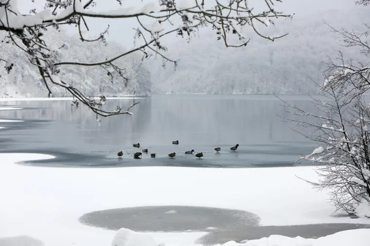 Netaknuta priroda, brojni slapovi i jezera u Nacionalnom parku Plitvička jezera ovih su dana okovani snijegom i ledom. Četrdesetak centimetara snijega posjetiteljima pruža pravu zimsku idilu.