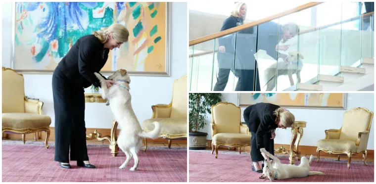 U Uredu predsjednice održan je Dan otvorenih vrata na temu "Za ljep&scaron;u na&scaron;u - Gospodarenje otpadom". Tijekom susreta s građanima predsjednica se pohvalila koje sve trikove je naučila kujica Kika.