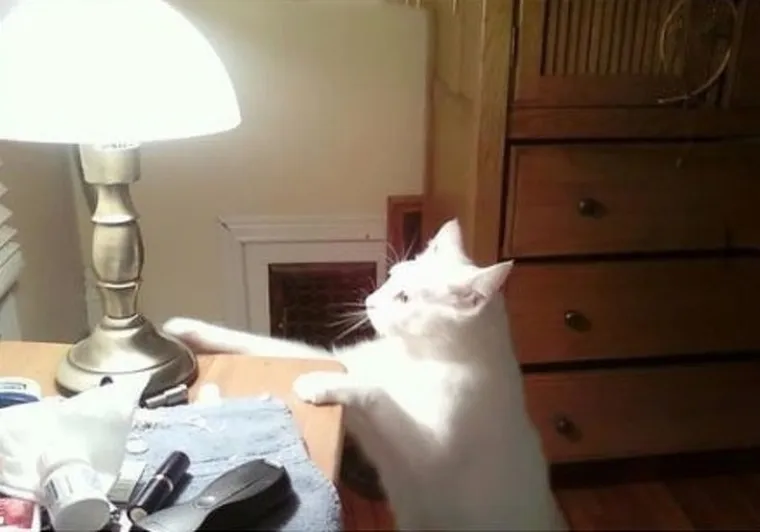 Imate lo&scaron; dan? Zbog ovih kućnih ljubimaca 'čudaka' nećete skinuti osmijeh s lica