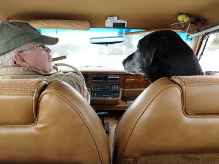 Imate lo&scaron; dan? Zbog ovih kućnih ljubimaca 'čudaka' nećete skinuti osmijeh s lica