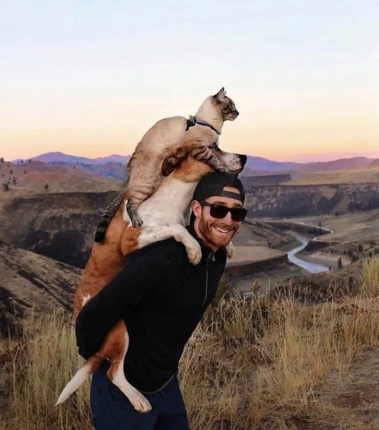 Imate lo&scaron; dan? Zbog ovih kućnih ljubimaca 'čudaka' nećete skinuti osmijeh s lica