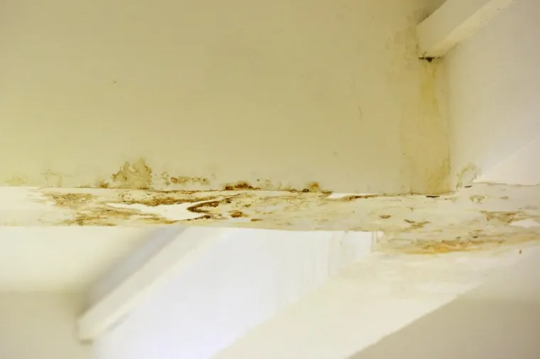 Područna &scaron;kola Antuna Mihanovića Petropoljskog u derutnom je stanju i proki&scaron;njava pa se tijekom ki&scaron;e unutar &scaron;kole postavljaju kante kako bi skupile vodu.