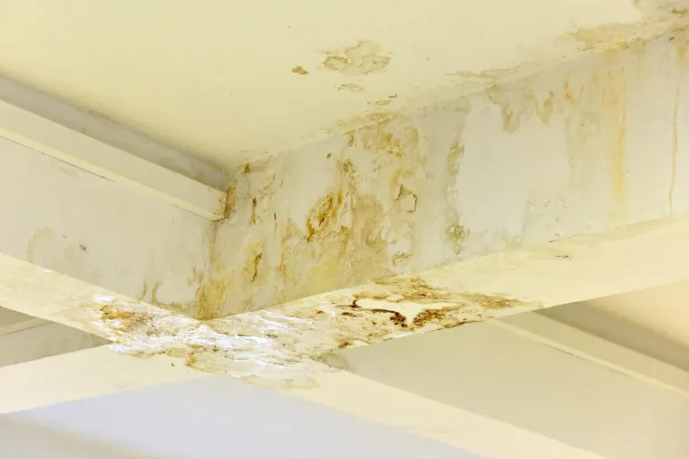 Područna &scaron;kola Antuna Mihanovića Petropoljskog u derutnom je stanju i proki&scaron;njava pa se tijekom ki&scaron;e unutar &scaron;kole postavljaju kante kako bi skupile vodu.