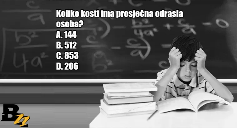 Koliko se dobro sjećate? KVIZ od 15 pitanja iz gradiva osnovne i srednje škole