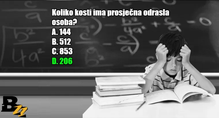 Koliko se dobro sjećate? KVIZ od 15 pitanja iz gradiva osnovne i srednje škole