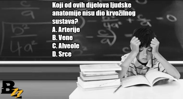 Koliko se dobro sjećate? KVIZ od 15 pitanja iz gradiva osnovne i srednje škole