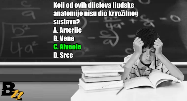Koliko se dobro sjećate? KVIZ od 15 pitanja iz gradiva osnovne i srednje škole