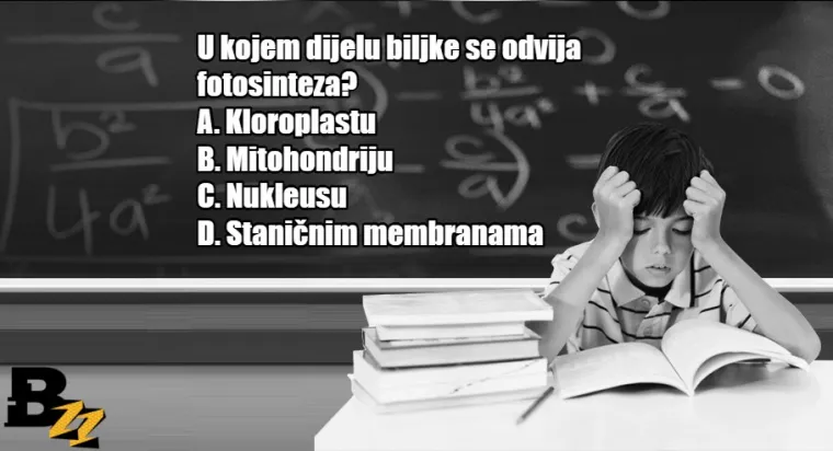 Koliko se dobro sjećate? KVIZ od 15 pitanja iz gradiva osnovne i srednje &scaron;kole