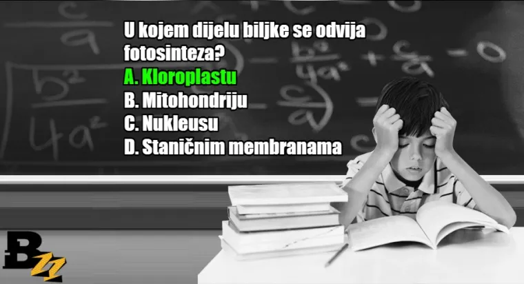 Koliko se dobro sjećate? KVIZ od 15 pitanja iz gradiva osnovne i srednje &scaron;kole